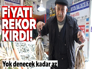 Mezgit fiyatı rekora koşuyor