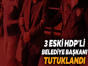 Mardin'de görevden alınan 3 eski HDP'li belediye başkanı tutuklandı