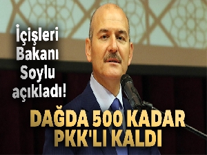 İçişleri Bakanı Soylu açıkladı! 'Dağda 500 kadar PKK'lı kaldı'