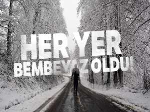 Ordu'da kar yağışı