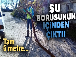 Su borusunun içinden çıktı! Tam 6 metre...