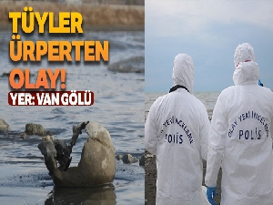 Van Gölü'nde tüyler ürperten olay