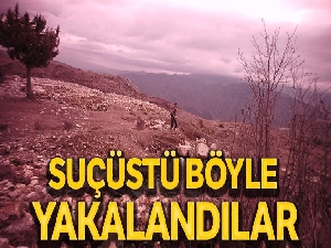 Sit alanında dedektörle define ararken jandarmanın fotokapanına yakalandılar