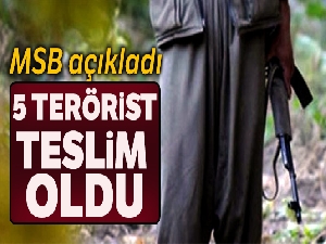 MSB: '5 PKK'lı terörist Silopi'de teslim oldu'