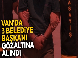 Van'ın HDP'li Özalp, Başkale ve Muradiye belediye başkanları gözaltına alındı