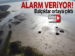 Büyükçekmece Gölü'nde sular çekildi, balçıklar ortaya çıktı