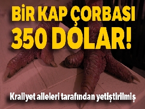 Bu horozun bir kap çorbası 350 dolar