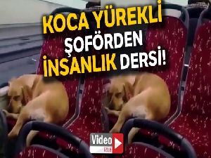 İstanbul'da otobüs şoföründen insanlık örneği