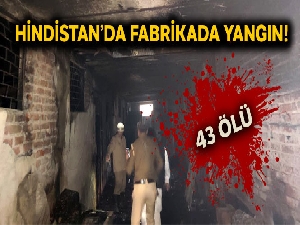 Hindistan'da fabrikada yangın: 43 ölü