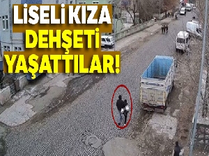 Kars'ta lise öğrencisini zorla kaçırmaya çalışanlar yakalandı