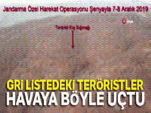 Gri listedeki terörist etkisiz hale getirildi