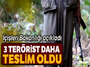 İçişleri Bakanlığı: 'Irak'ın kuzeyinden kaçan 3 terörist daha güvenlik güçlerine teslim oldu'