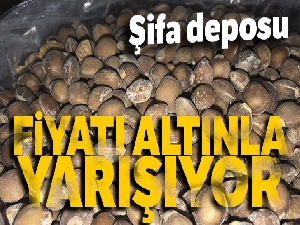 Siirt bıttımı altın fiyatını geçti