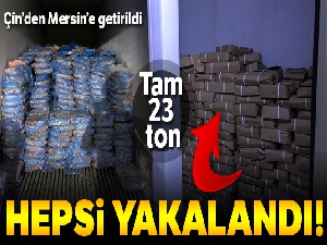Mersin'e Çin'den getirilen kaçak 23 ton kuzu ciğeri yakalandı