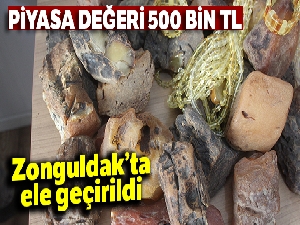 Zonguldak'ta piyasa değeri 500 bin TL olan 28 kilogram ağırlığında kehribar taşı ele geçirildi