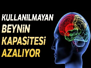 Kullanılmayan beynin kapasitesi azalıyor