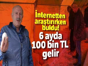 İnternetten araştırırken buldu! 6 ayda 100 bin TL gelir