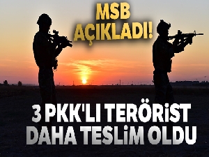 MSB açıkladı! 3 PKK'lı terörist daha teslim oldu