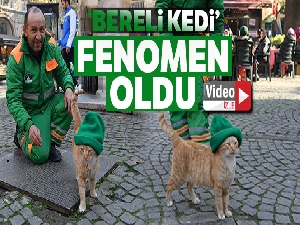 'Çizmeli' değil, 'Bereli' kedi