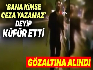 ‘Bana kimse ceza yazamaz, kralı gelsin' deyip küfür etti gözaltına alındı