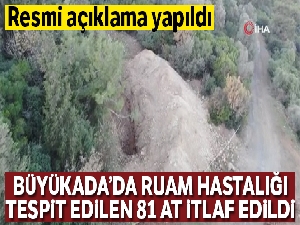 Adalar Kaymakamlığından Ruam hastalığı taşıyan atlara ilişkin açıklama