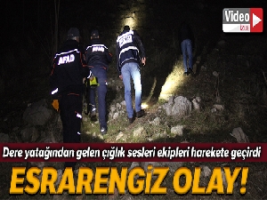 Dere yatağından gelen çığlık sesleri ekipleri alarma geçirdi