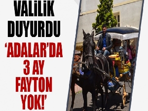 İstanbul Valisi Ali Yerlikaya: 'Faytonlara at koşulması 3 ay süreyle durduruldu'