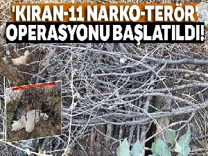 Diyarbakır Lice Bölgesinde 'Kıran-11 Narko-Terör' Operasyonu başlatıldı