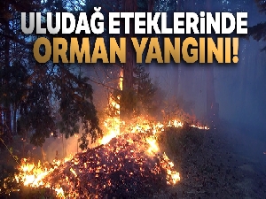 Uludağ eteklerindeki orman yangını kontrol altına alındı!
