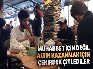 Muhabbet için değil, altın kazanmak için çekirdek çitlediler