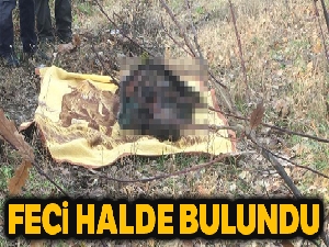 Yaşlı kadın 29 gün sonra ölü bulundu