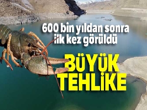 Van Gölü Havzası'nda 600 bin yıldan sonra ilk kez kerevit görüldü