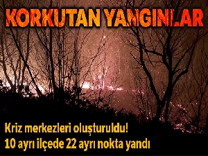 Trabzon ve Giresun'da orman yangınları