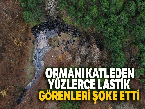 Ormanı katleden yüzlerce lastik görenleri şoke etti