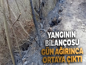 Yangının bilançosu gün ağırınca ortaya çıktı