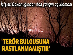 İçişleri Bakanlığı: 'Karadeniz'deki yangınlarda sabotaj bulgusu yok'