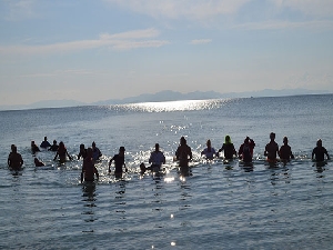 Aralık ayında sokak hayvanları için denize girdiler
