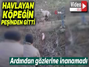 Havlayan köpeğin peşinden giden sürücüler gözlerine inanamadı