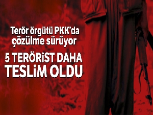 Terör örgütü PKK'da çözülme sürüyor! 5 terörist daha teslim oldu