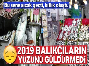 2019 yılı balıkçıların yüzünü güldürmedi