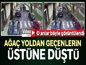 Darülaceze Otoparkı'nda çınar ağacı 4 aracın üzerine devrildi