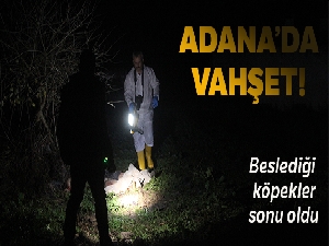 Adana'da köpek vahşeti