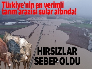 Türkiye'nin en verimli tarım arazisi sular altında! Hırsızlar sebep oldu