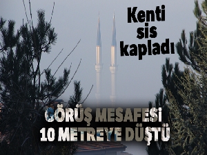 Düzce'de sis kartpostallık görüntüler ortaya çıkardı