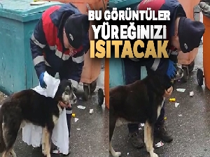 Temizlik işçisi yağmurdan ıslanan köpeği kuruladı, içleri ısıttı