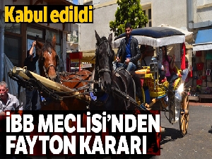 Adalar'da fayton plakaları İBB'ye geçti