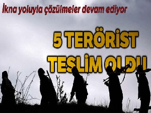 İçişleri Bakanlığı: 'Şırnak'ta 5 terörist teslim oldu'