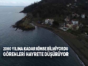 Şaşırtan ‘Timsah Adası' havadan görüntülendi