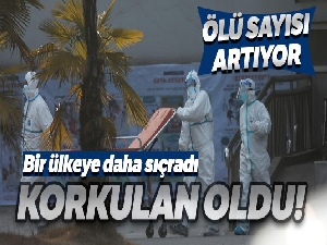 Çin'deki salgında ölü sayısı 9'a yükseldi