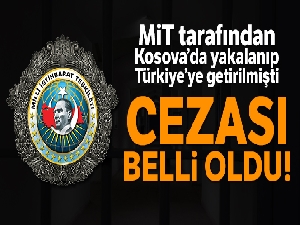 MİT'in yakaladığı Günakan'a FETÖ'den 8 yıl hapis